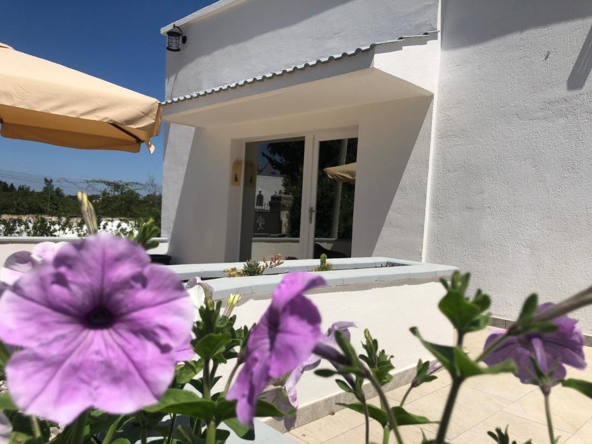 Casa Vacanza I Cedri Martina Franca Exterior photo